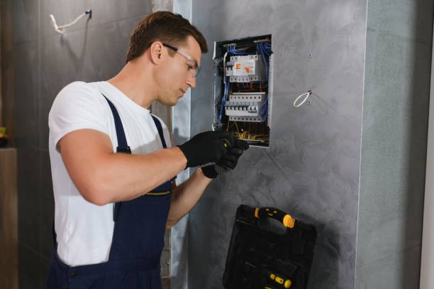 Best Electric Panel Repair  in Vero Lake Estates, FL